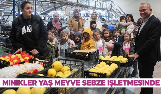 Alaşehirli öğrencilerden yaş meyve sebze işletmesine ziyaret   