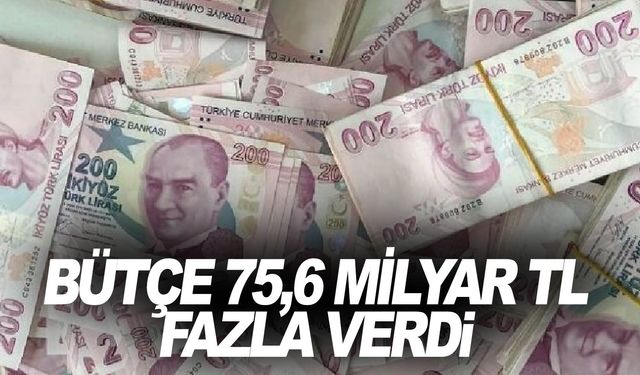 Bakanlık açıkladı! Merkezi Yönetim Bütçesi fazla verdi