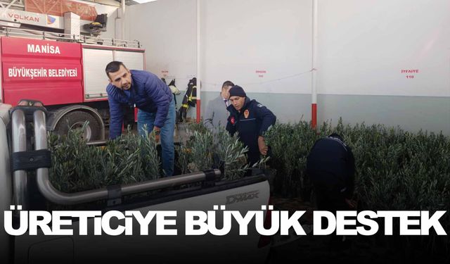 Büyükşehir 17 ilçede 116 bin 410 adet fidan dağıttı