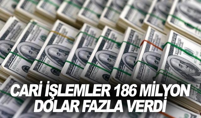 Cari işlemler hesabı ekimde 186 milyon dolar fazla verdi