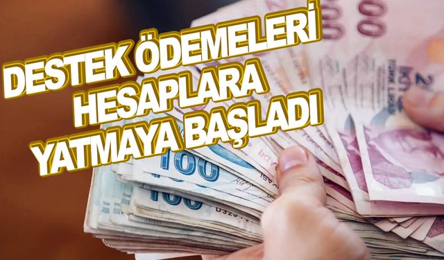 Destek ödemeleri başladı… Hesapları kontrol edin