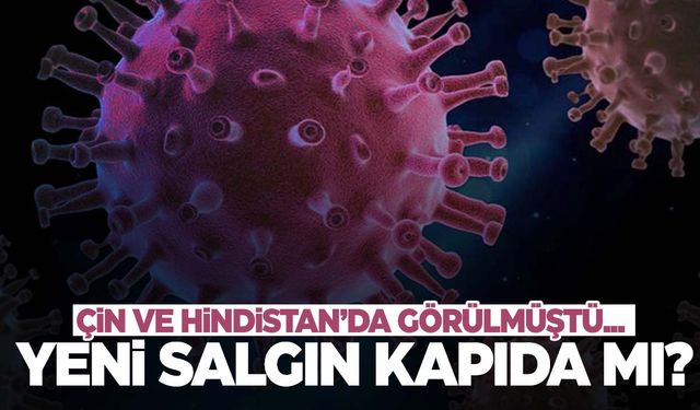 Çin ve Hindistan’da görülmüştü… Türkiye’ye de sıçrar mı? Uzmanlardan açıklama geldi