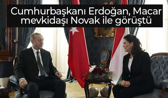 Cumhurbaşkanı Erdoğan Macaristan'da