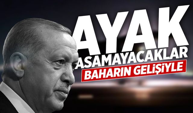 Cumhurbaşkanı açıkladı! Baharın gelişiyle adım atamayacaklar!