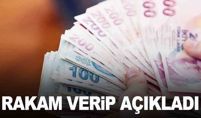 Memur ve emekliye ne kadar zam olacak? Cumhurbaşkanı yardımcısı açıkladı!