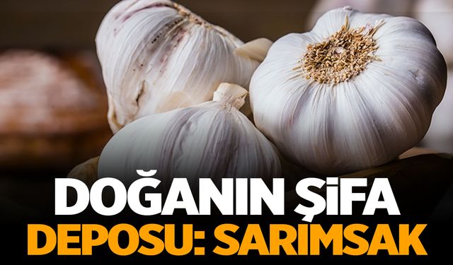 Doğanın şifa deposu sarımsak