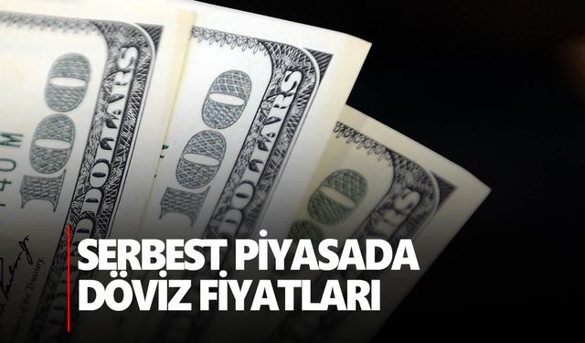 Dolar 28,92 seviyesinde