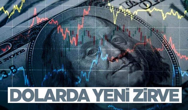 Dolarda yeni zirve!