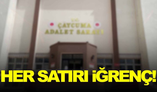 Her satırı iğrenç… Cezası açıklandı