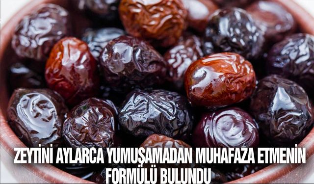 Zeytini aylarca yumuşamadan muhafaza etmenin formülü bulundu. Bu yöntem sayesinde zeytininiz aylarca taze kalabilecek