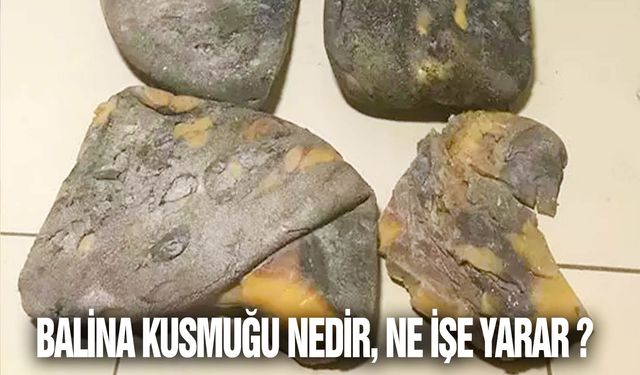 Balina kusmuğu nedir, amber ne işe yarar ve neden pahalı?