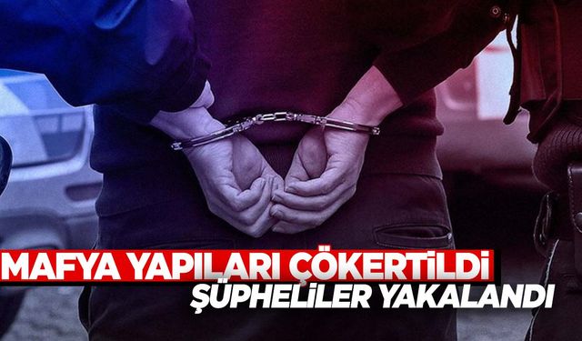 İzmir'de mafya yapıları tek tek çökertildi  