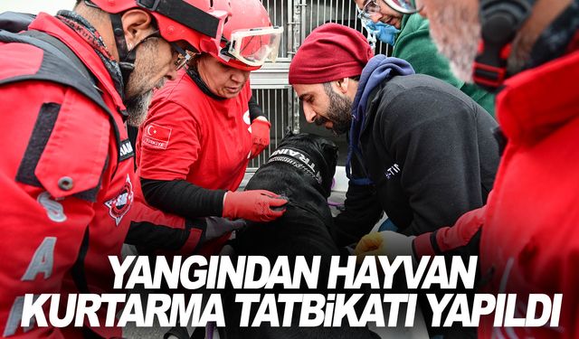 İzmir'de yangından hayvan kurtarma tatbikatı yapıldı