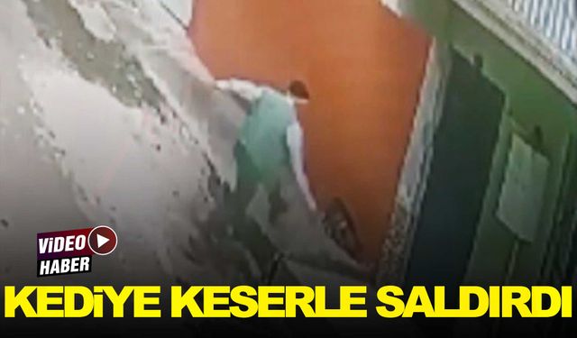 İzmir’de caniliğin görüntüsü… Kediye keserle saldırdı