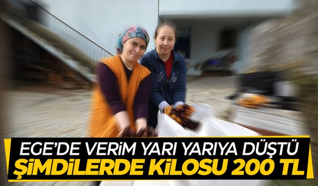 Kışın vazgeçilmez lezzeti... Sofralara yolculuğu başladı