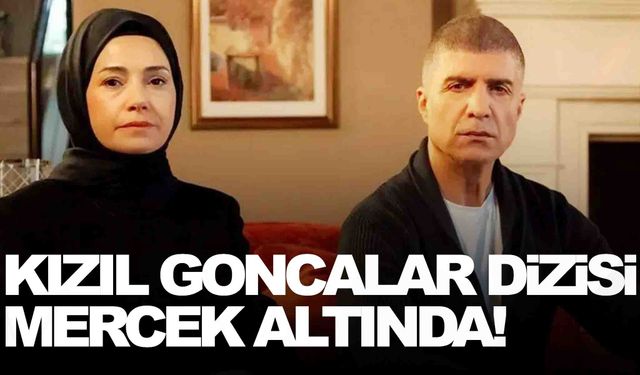 Kızıl Goncalar dizisi mercek altında!