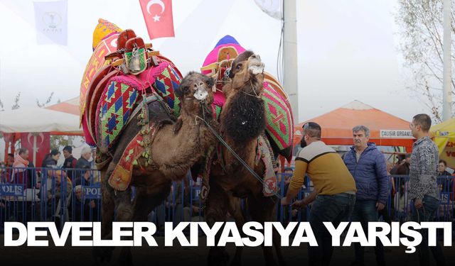 Manisa, İzmir, Antalya, Aydın ve Muğla’nın şampiyonları Denizli’de buluştu