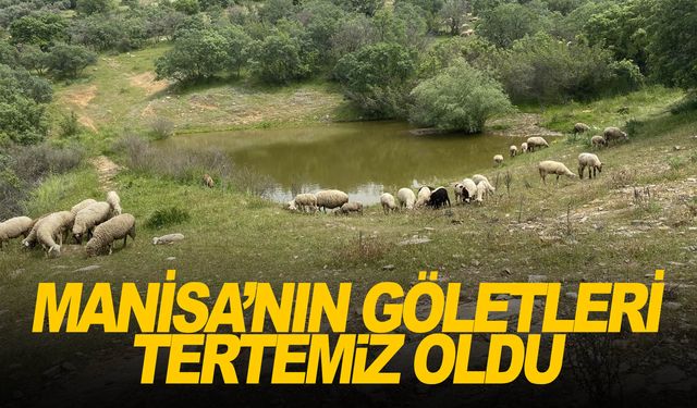 Manisa’da 2023 yılında 80 HİS göleti temizlendi