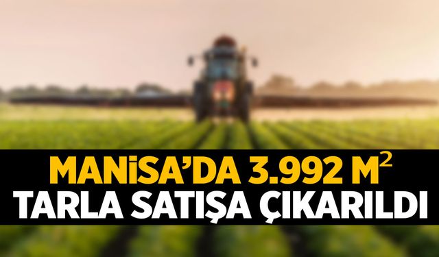 Manisa'da tarla satışa çıkarıldı