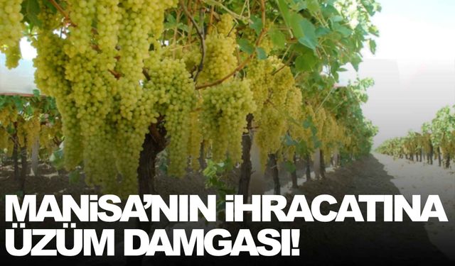 Manisa’nın ihracatına üzüm damgası!