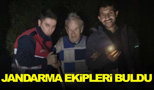 Mantar toplamaya giden yaşlı vatandaş kayboldu!