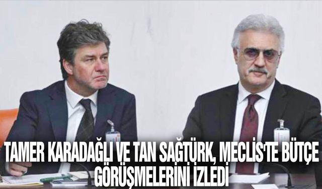 Tamer Karadağlı ve Tan Sağtürk, Meclis'te bütçe görüşmelerini izledi