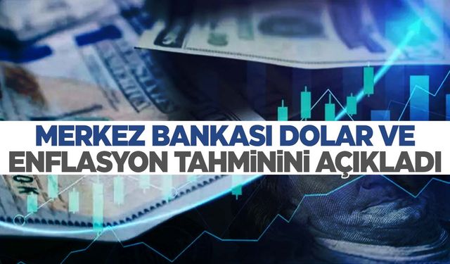 Yıl sonu enflasyon ve dolar tahmini! Merkez Bankası açıkladı! 12 ay sonra ise…