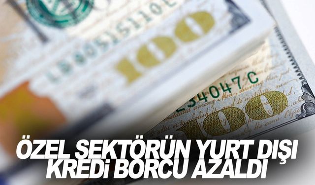 Özel sektörün yurt dışı kredi borcu 157,8 milyar dolara geriledi