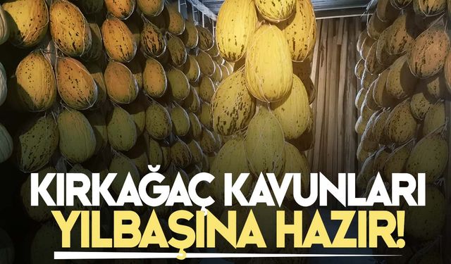 Tadıyla dünyaya ün salan Kırkağaç kavunları yılbaşına hazır