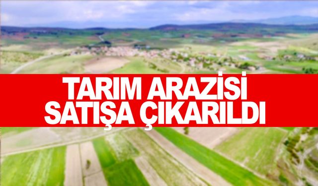 Manisa’da tarım arazisi mahkemeden satışta