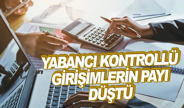 Yabancı kontrollü girişimlerin toplam cirodaki payı yüzde 12,7 oldu