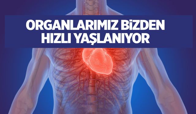 Yapay zeka ortaya çıkardı... Organlarımız bizden daha hızlı yaşlanıyor