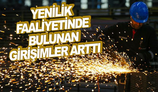 Yenilik faaliyetinde bulunan girişimlerin oranı yüzde 39,8 oldu