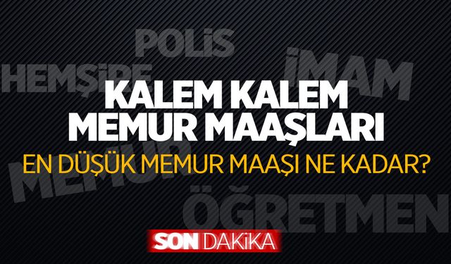 2024 Memur, Polis, Öğretmen, Hemşire maaşları ne kadar? Tek tek sıralandı!