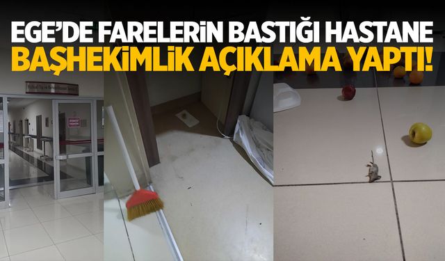 Afyonkarahisar’da hastaneyi fareler bastı! Hastaneden ‘fare’ açıklaması