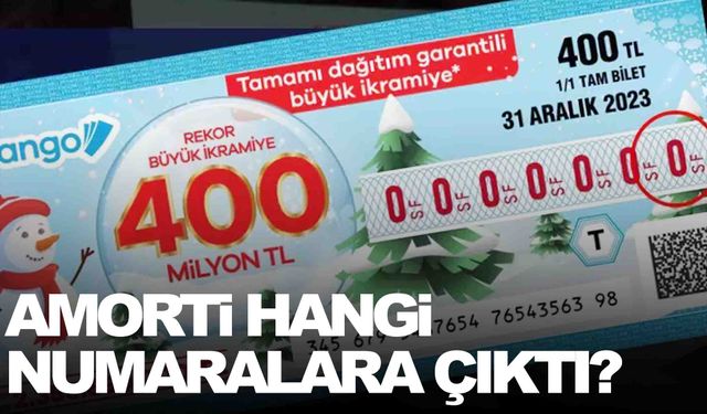 2024 Milli Piyango çekilişinde amorti hangi numaralara çıktı?