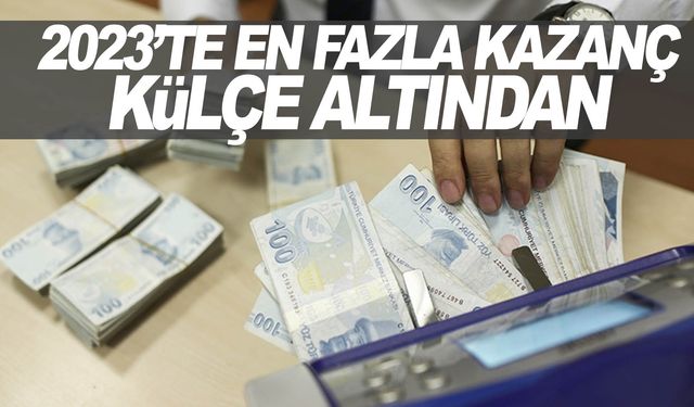 Aralık 2023'te en fazla aylık reel getiri DİBS'te oldu