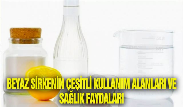 Beyaz sirkenin çeşitli kullanım alanları ve sağlık faydaları