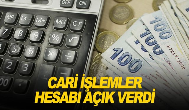 Cari işlemler hesabı Kasım ayında açık verdi