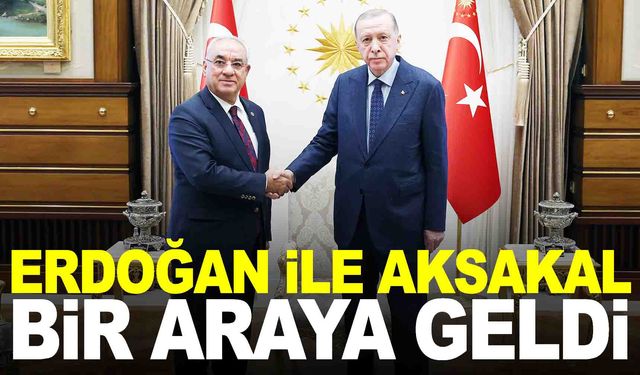 Cumhurbaşkanı Erdoğan, DSP genel başkanını kabul etti