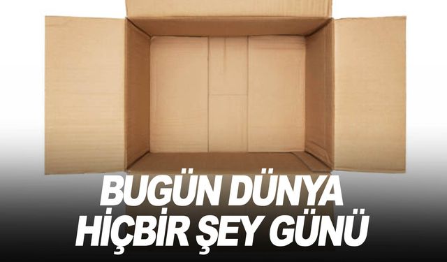 Dünya Hiçbir Şey Günü ne yaparak geçer?