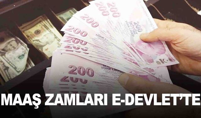 Emeklilerin maaş zamları e-Devlet'te görülüyor!