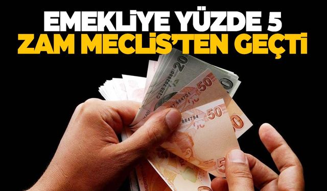 Emekliye yüzde 5 zam Meclis’ten geçti!