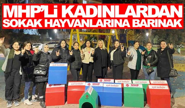 MHP’li kadınlardan sokak hayvanlarına barınak