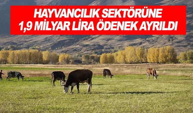 Hayvancılık sektörü yatırımları için bu yıl 1,9 milyar lira ödenek ayrıldı