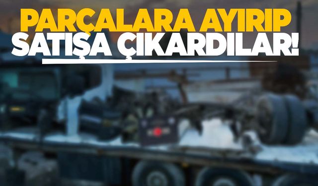 Parçalara ayırıp satışa çıkardılar!