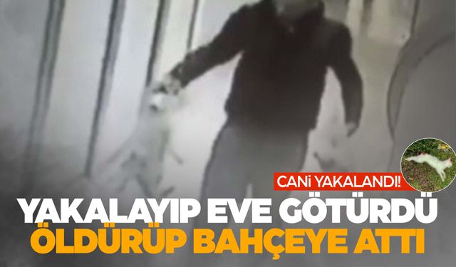 Kameraya yakalandı! Kedileri toplayıp evinde öldürdü!