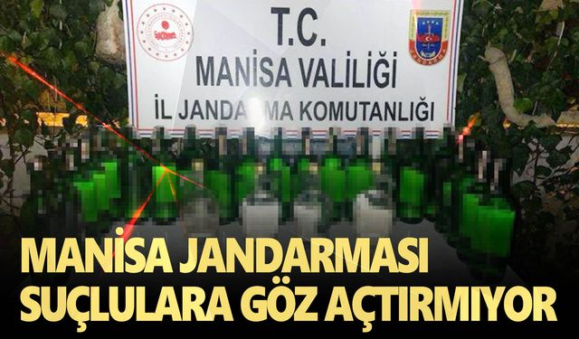 Kapsamlı operasyon: 399 şahıs yakalandı