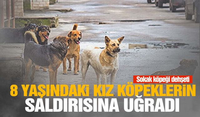 Köpeklerin saldırdığı 8 yaşındaki kız ölümden döndü!