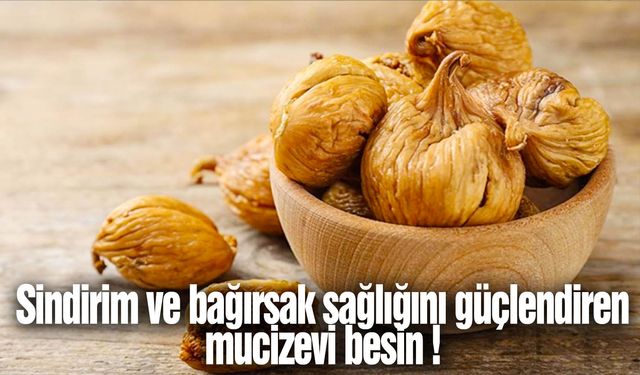 Sindirim ve bağırsak sağlığını güçlendiren mucizevi besin !